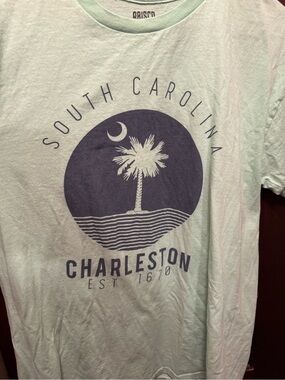 Women’s Large South Carolina Charleston Palm Cotton T‑Shirt - Light Mint